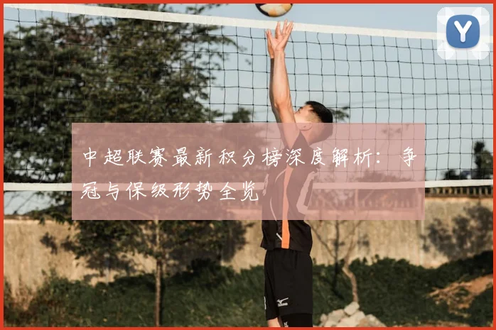 中超联赛最新积分榜深度解析：争冠与保级形势全览