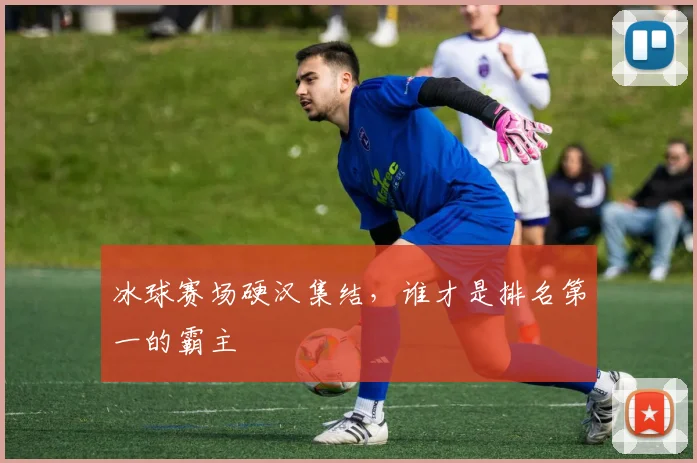 冰球赛场硬汉集结，谁才是排名第一的霸主